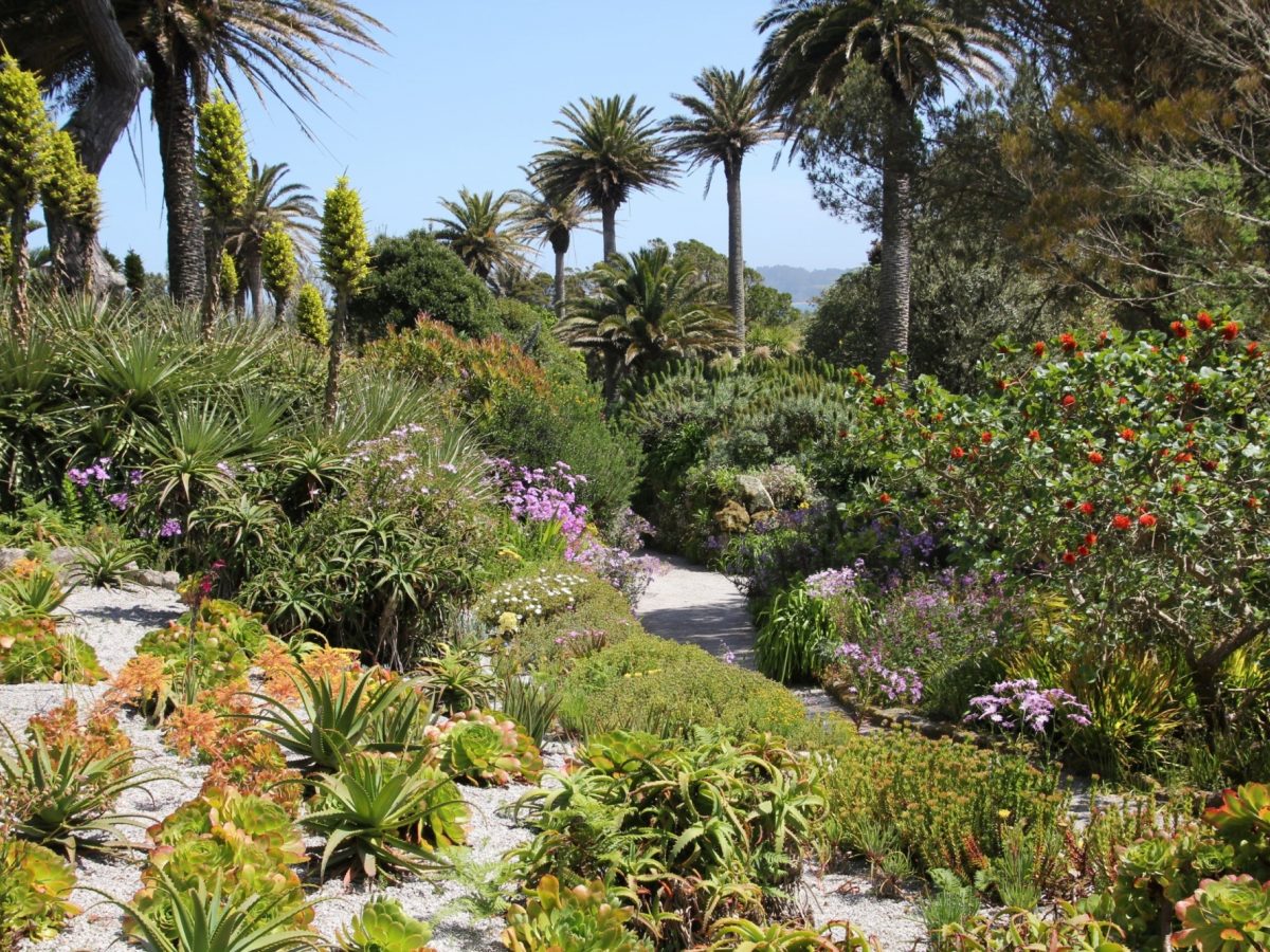 Day Trips To Tresco 